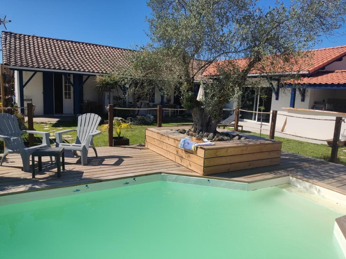 Cottage La Dune Avec Piscine Les Cigales Du Bassin A Gujan-Mestras Exteriér fotografie